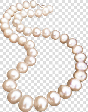 Pearl Necklace Jewellery Pearl Necklace   Free Transparent Png Pearl Necklace  Png Download