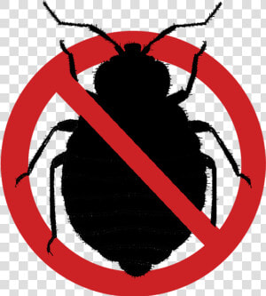 Bed Bug Elimination Logo   Bed Bug  HD Png Download