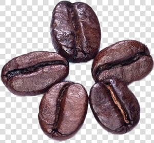 Cocoa bean   Coffee Bean Png  Transparent Png