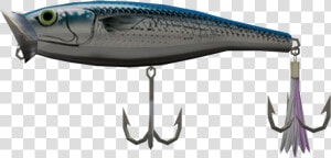 Rapala  HD Png Download