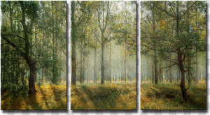 Seegart 3 Paneles Primavera Verde Bosque Foto Impresa   Forest Cover  HD Png Download