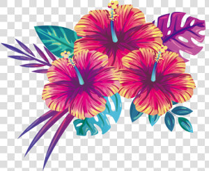  mq  flowers  flower  purple  tropical   Summer Flowers Png  Transparent Png