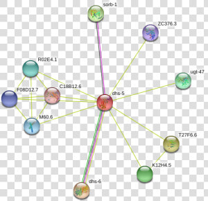 Dhs 5 Protein  HD Png Download