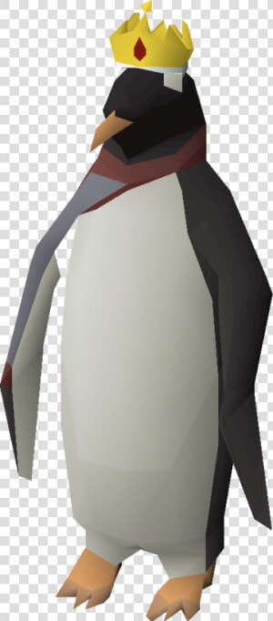 Adã©lie Penguin  HD Png Download