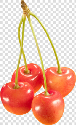 Download For Free Cherry Png Image Without Background   Черешня Пнг  Transparent Png