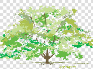 Clip Art Four Four Seasons Images Free   Png Download  Transparent Png