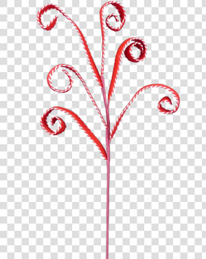 27   Twig  HD Png Download