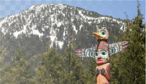 Picture   Hummingbird On A Totem Pole  HD Png Download