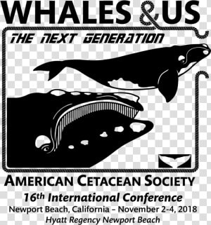 Whales And Us   American Cetacean Society  HD Png Download