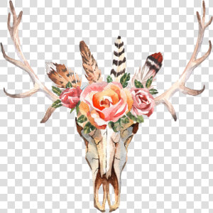 Flower Deer Antler Background  HD Png Download