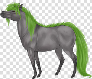 Stallion  HD Png Download