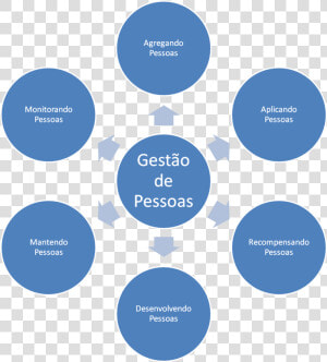 People Management Processes   Areas De La Personalidad  HD Png Download