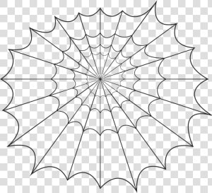 Spider  Web  Halloween  Spooky  Horror  Bug  Insect  HD Png Download