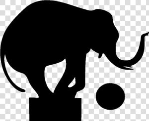 Indian Elephant African Elephant Wildlife Silhouette   Silhouettes Of Circus Animals  HD Png Download