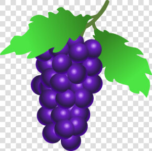 Grapes Clip Art Png   Grapes Clipart  Transparent Png