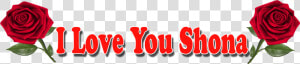 I Love You Shona Red Rose Png  Transparent Png