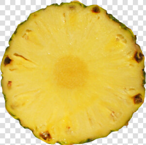 Pineapple Slice Png Image   Pineapple Slices Png  Transparent Png