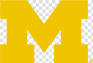 Michigan Wolverines  HD Png Download