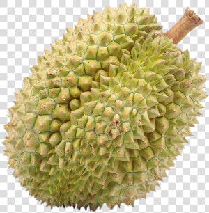 Durian   Png Download   Fruits That People Don T Like  Transparent Png