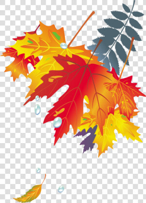 Dibujo De Hojas De Otoño   Png Download   Poster Autumn Leaves  Transparent Png