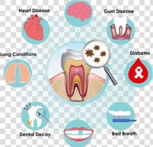 Clipart Oral Health  HD Png Download