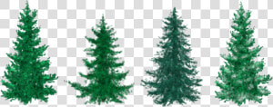 Fir Tree Clipart Group Tree   Fir Christmas Tree Clipart  HD Png Download