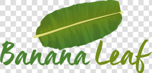 Banana Leaf Png   Banana Leaf Logo Png  Transparent Png