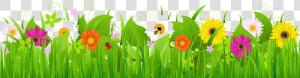 Grass Clipart Transparent Png   Grass And Flowers Clipart Png  Png Download