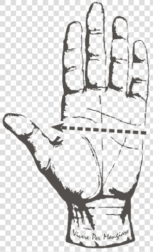 3palms Hand   Palm Reading Guide  HD Png Download