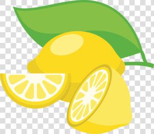 Plant lemon Lime lemon  HD Png Download