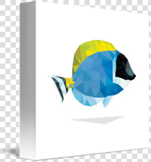 Geometric Abstract Powder Blue Tang Fish By Joseph   Fish Geometric Art  HD Png Download