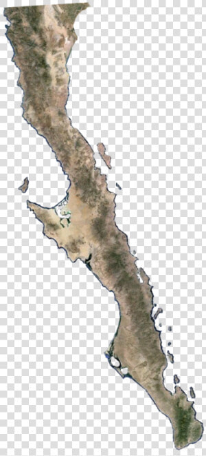 Baja California Mapa Png  Transparent Png