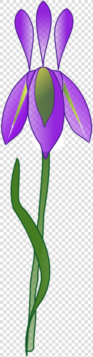 Iris Flower Purple Plant Garden Png Image Iris    Clip Art  Transparent Png