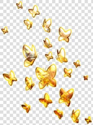  mq  yellow  gold  butterfly  butterflys  flying   Golden Butterfly Png  Transparent Png