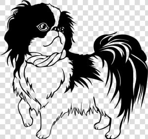 Shih Tzu Line Art  HD Png Download