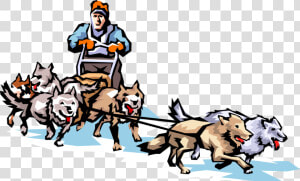 Vector Illustration Of Dog Sledding In Alaska On Snow   Dog Sled Clip Art  HD Png Download