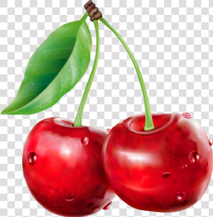 Clip Art Red Cherry Clipart   Cherry Png  Transparent Png