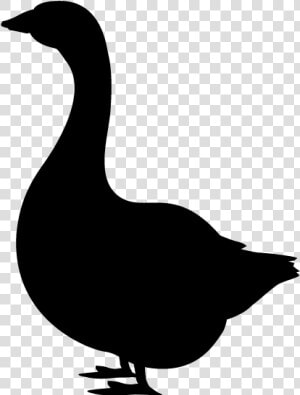 Domestic Duck Silhouette Goose Clip Art   あひる シルエット イラスト  HD Png Download