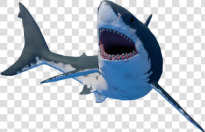 Raft Game Shark Png  Transparent Png