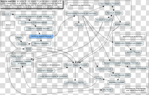 Complex Analysis Theorems   Differential Equation Mind Map  HD Png Download