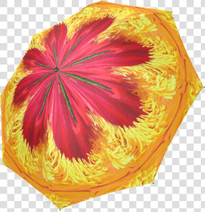 The Ring Of Fire Foldable Umbrella   Umbrella  HD Png Download