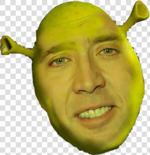 Transparent Nick Cage Face Png   Nicolas Cage  Png Download