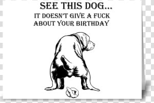 Funny Dog Birthday Card Greeting Card   Funny Dog Birthday Greeting  HD Png Download