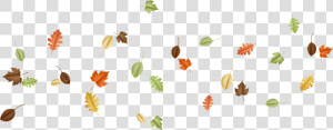 Leaf   Falling Autumn Leaves Pile Png  Transparent Png