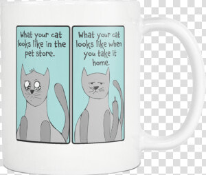 What Your Cat Looks Like   Coffee Cup  HD Png Download