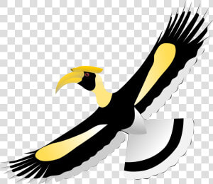 Thumb Image   Logo Hornbill Png  Transparent Png