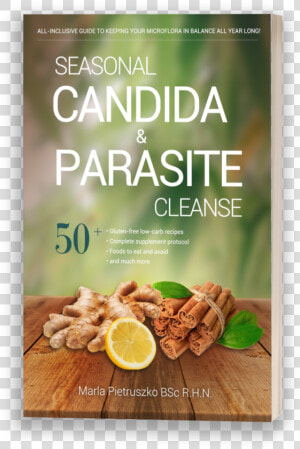 Candida Parasite  HD Png Download