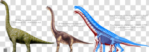 Transparent Brachiosaurus Png  Png Download