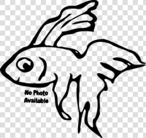 Betta Fish Black And White  HD Png Download