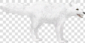 Arctic Fox Winter   Arctic Fox Zoo Tycoon 2  HD Png Download